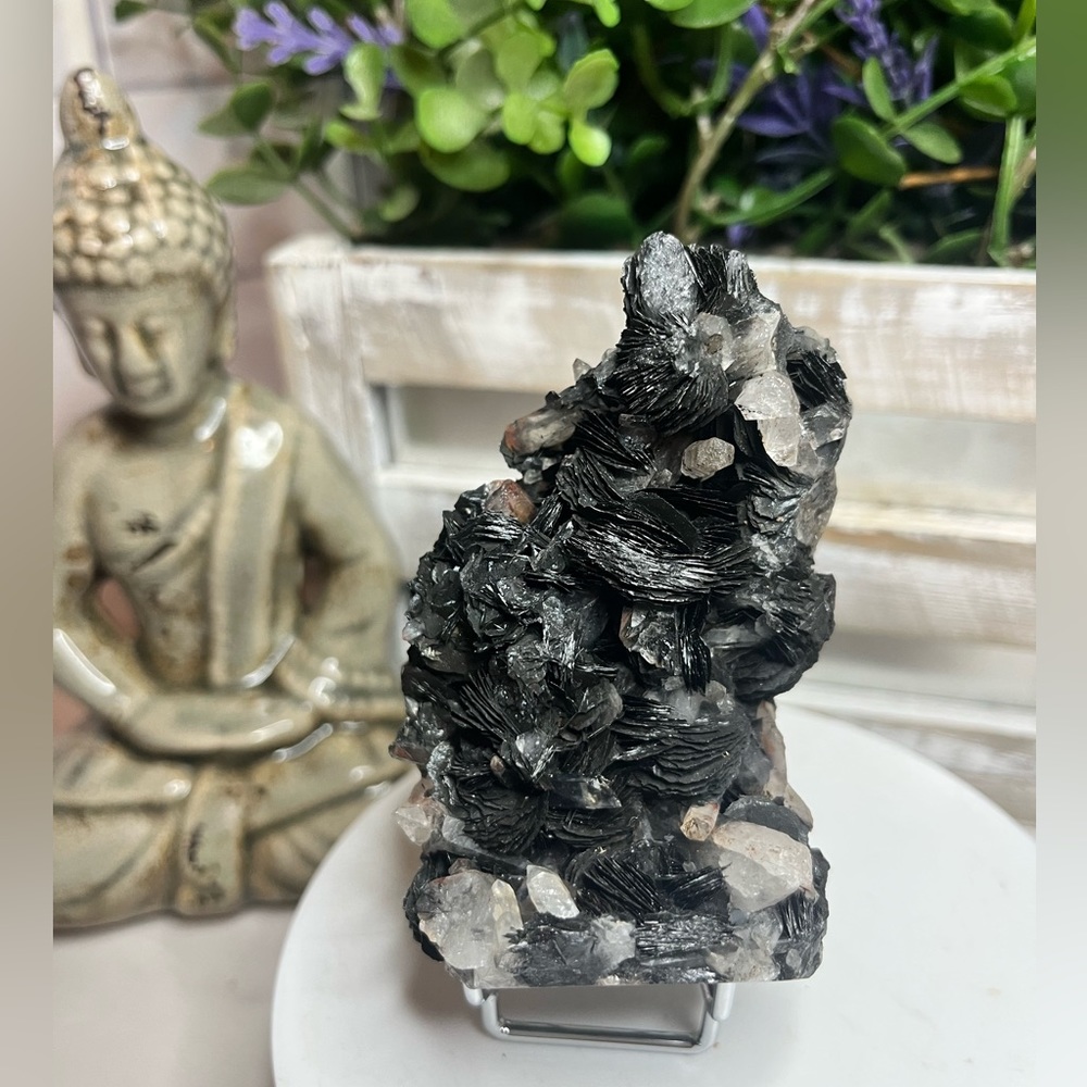 ‼️CLOSED MINE‼️Specularite Rose with Quartz